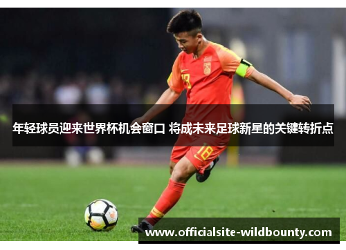 年轻球员迎来世界杯机会窗口 将成未来足球新星的关键转折点