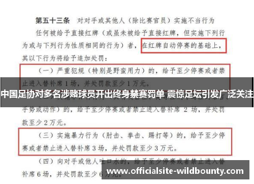 中国足协对多名涉赌球员开出终身禁赛罚单 震惊足坛引发广泛关注 中国足协对多名涉赌球员开出终身禁赛罚单 震惊足坛引发广泛关注