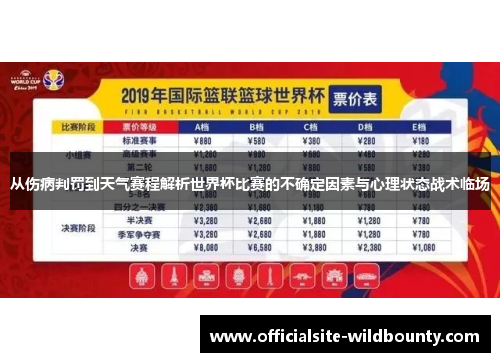 从伤病判罚到天气赛程解析世界杯比赛的不确定因素与心理状态战术临场